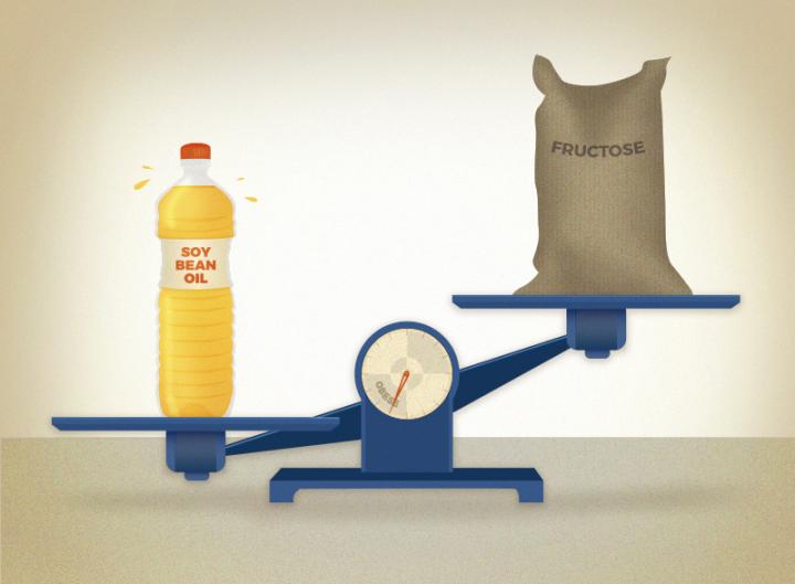 Soybean/Fructose Illustration