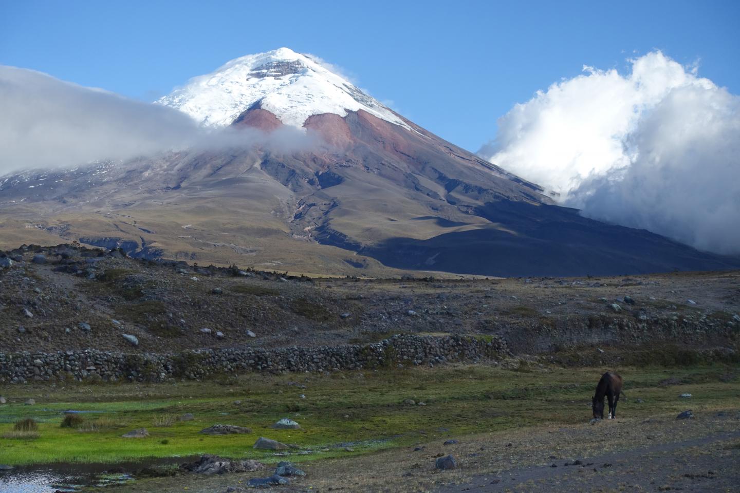 climate changes in nature reserves | EurekAlert!