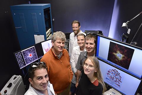 Dr. Danuser and Colleagues