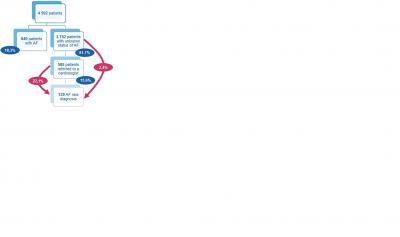 Results of PROFIL FA