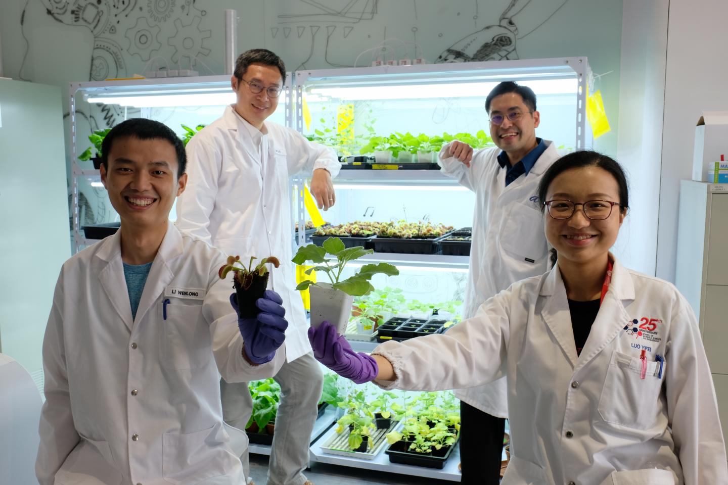 NTU Singapore scientists develop device to 'communicate' with plants using electrical signals