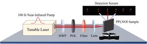 Nonlinear Raman-Nath diffraction in submicron-thick periodically poled lithium niobate thin film