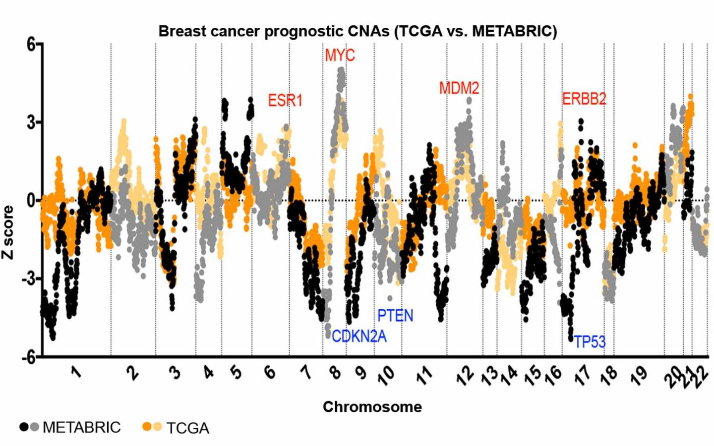 Breast Cancer Prognostic CNAs