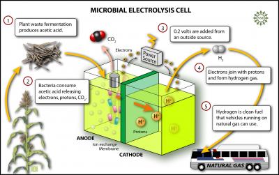 Microbial Electrolysis Cell