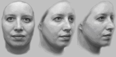 New Insight Into How Bees See