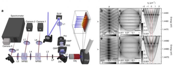 Schematic Representation