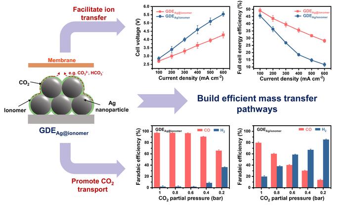 Uniformly distributed ionomer in the catalyst layer forms efficient mass transfer pathways which improve the performance.