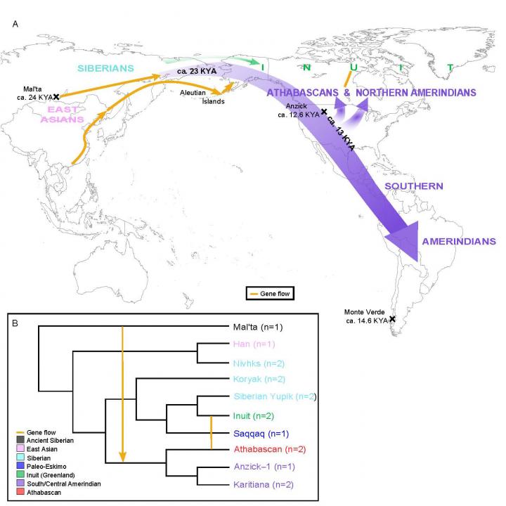 Genetic Data Informs How Native American Ancestors Entered Americas (1 of 4)