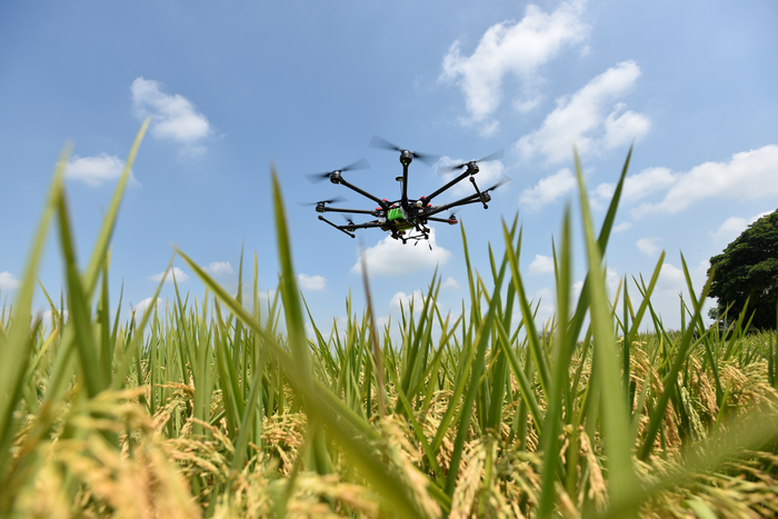 An unmanned aerial vehicle (UAV) that can be deployed for image acquisition in rice paddy fields