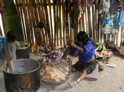 Peruvian Indigenous Woman Preparing Food'