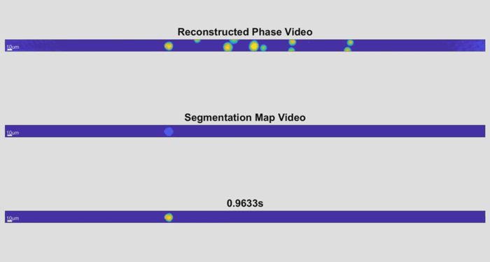 Fast Cell Holography