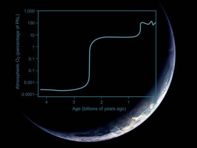 The Dynamics of Earth System Oxygenation