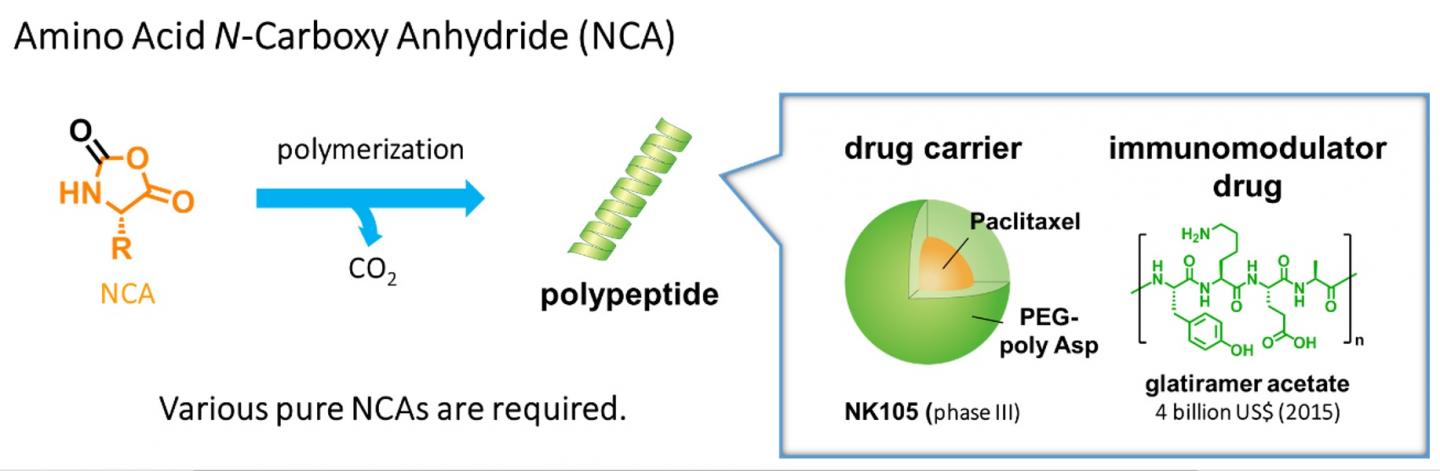 Synthesis of Polypeptides and Their Importance
