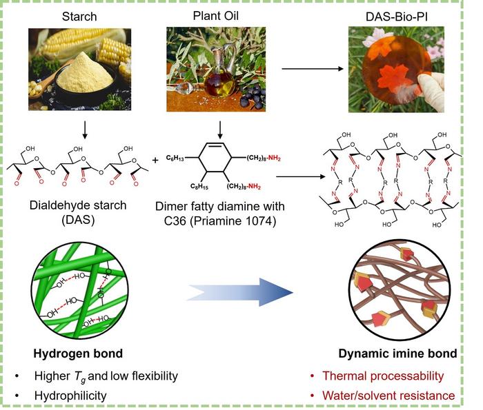 Structural design strategy of the fully bio-based starch plastic