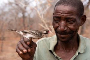 Yao honey-hunter Seliano Rucunua holding male honeyguide