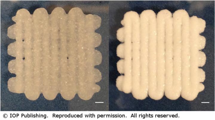 Representative Images of Constructs Produced Via Bioprinting of PLGA-PEG Microparticles