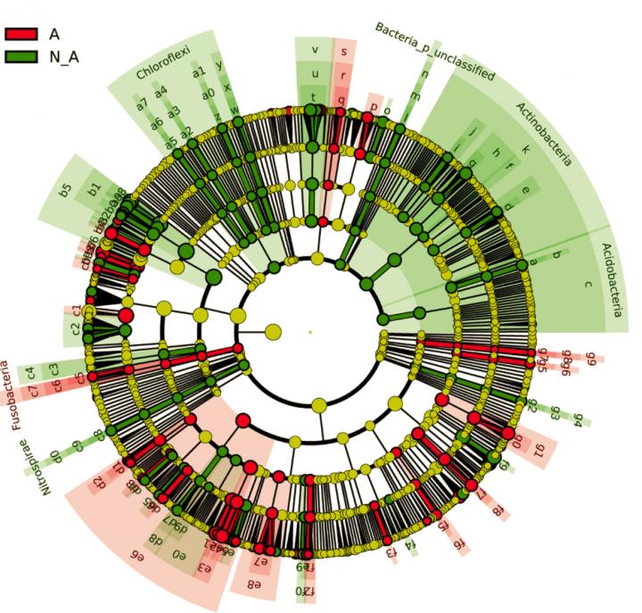 Spleen Microbes of Wild Animals Change with Tick-Borne Illness