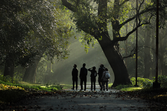 People on nature trail