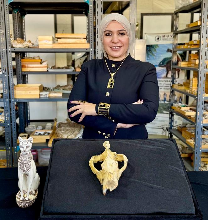 Shorouq Al-Ashqar, the lead author, with the Bastetodon syrtos skull and a Bastet statue