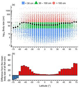 Latitudinal gradient of body sizes