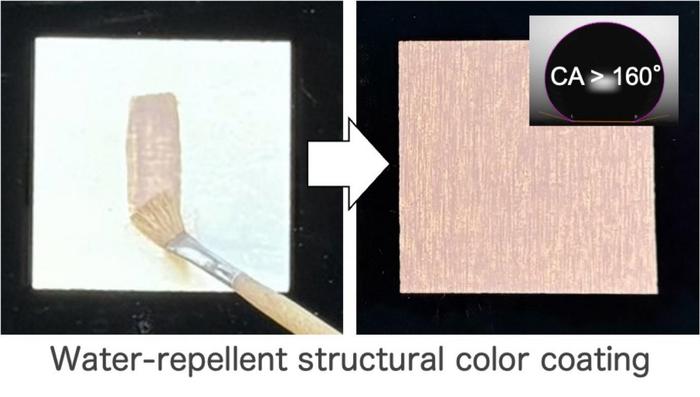 Researchers develop water-repellent structural color coating