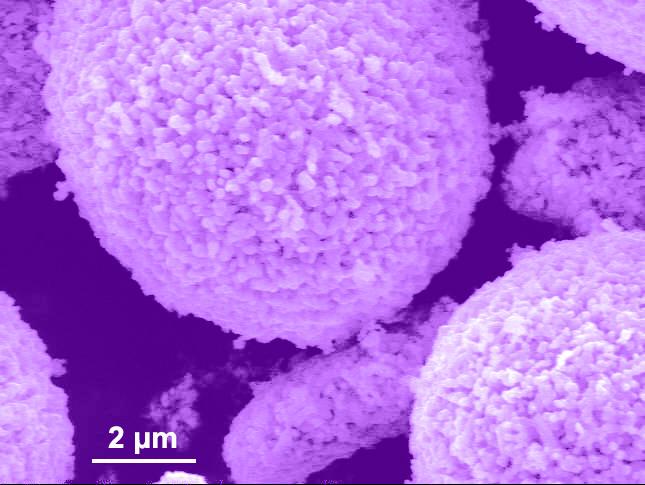 SEM of Modified Cathode Particles