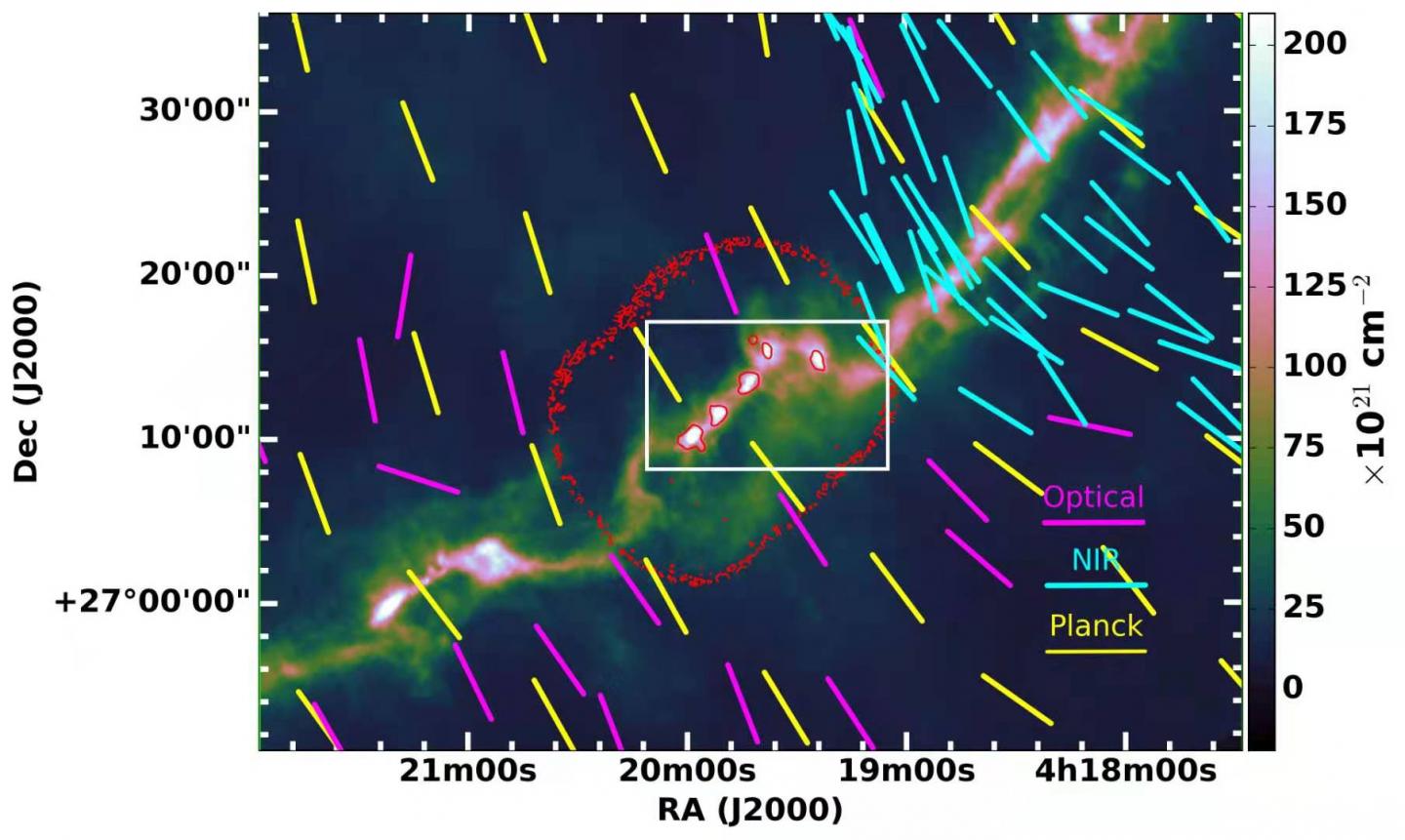 Large-scale, uniform magnetic field morphology of Taurus/B213 region, inferred based on multi-wavelength polarization data.