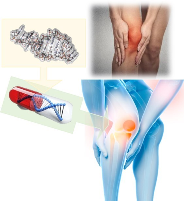 Treatment of osteoarthritis by miRNA introduction