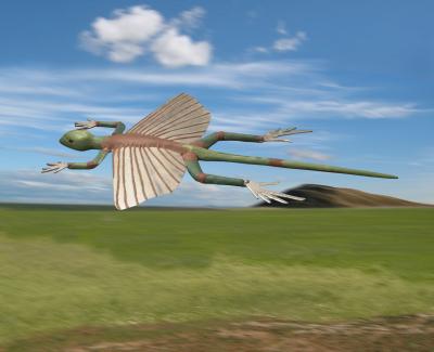 Model of a Kuehneosaur