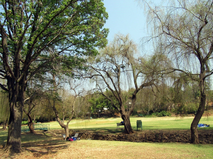 A city park in Pretoria, South Africa.