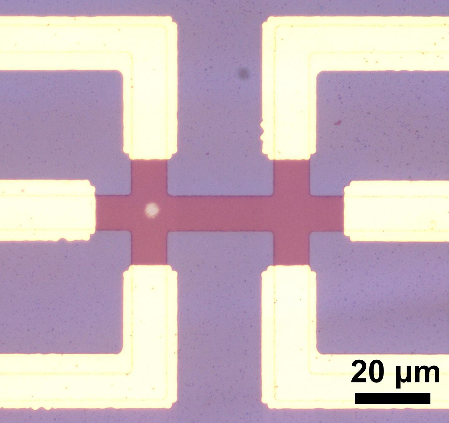 Microscope Image Without Numbers and Axis