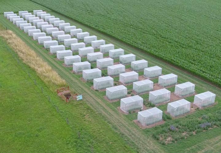 View from above showing the experimental set-up - large white rectangular enclosures in a large green field