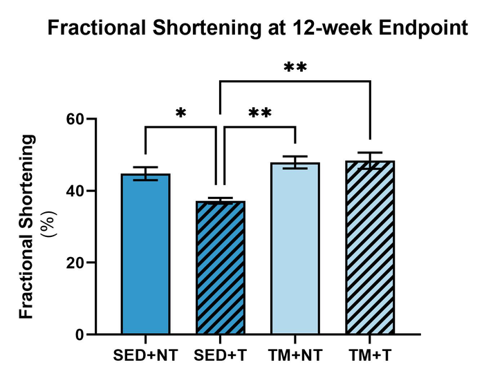 Cardiac function comparison