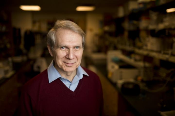 Kim Lewis, Northeastern University