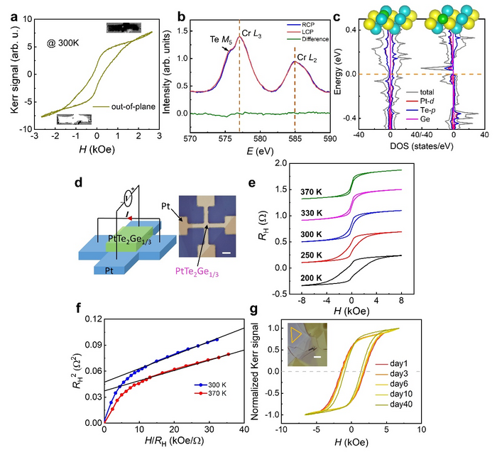 Magnetic characterizations and theoretical calculations of PtTe2Ge1/3