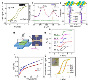 Magnetic characterizations and theoretical calculations of PtTe2Ge1/3