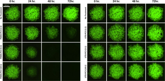 GFP fluorescent images