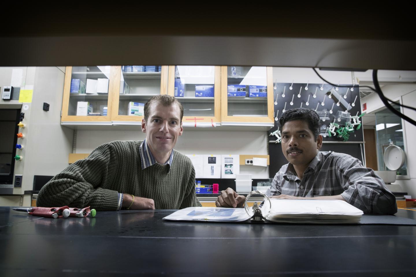 From Plants, UVA Extracts a Better Way to Determine What Genes Do