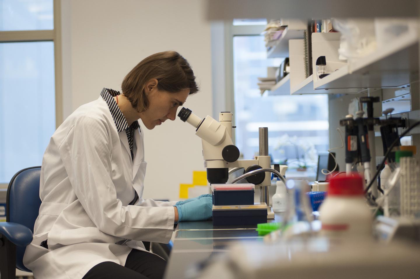 Konstantina Stankovic, M.D., Ph.D., Massachusetts Eye and Ear Infirmary