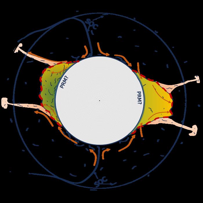 Schematic diagram of LLVPs