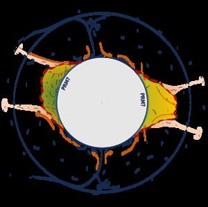 Schematic diagram of LLVPs