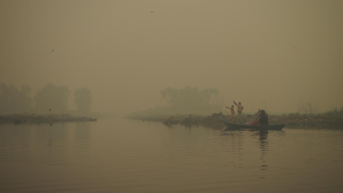 Haze from peatland fires