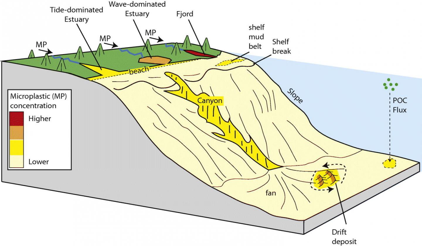 Microplastic Concentrations in Marine Environments