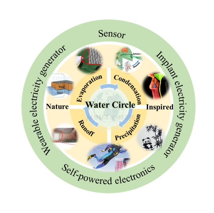 Electricity harvesting from evaporation, raindrops,  moisture, and minute flows of water inspired by nature.