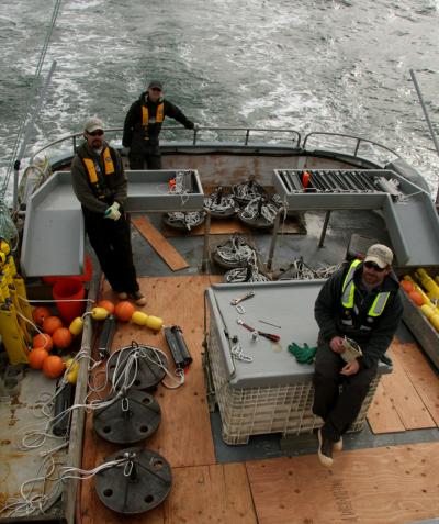 Tracking Young Salmon in the Ocean (2 of 2)
