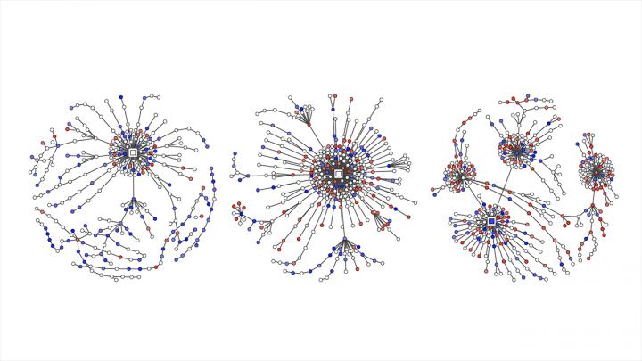 Reply trees on Twitter with labeled hate, counter, and neutral speech