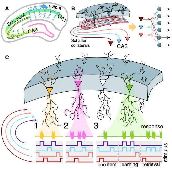 The Scheme of the Neural Network