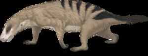 Survival of the newest: the mammals that surv - Vimarsana News