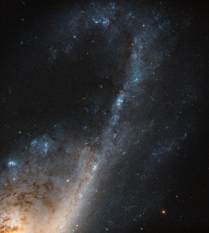 Starbursts in NGC 4536