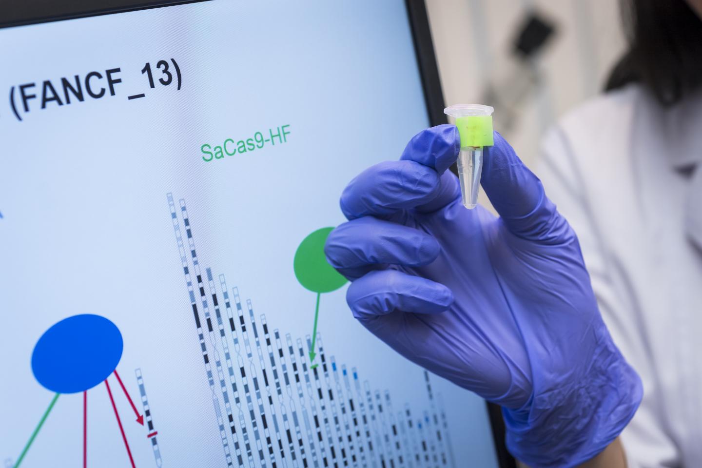 SaCas9-HF Protein